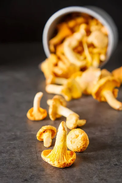 Ham vahşi Cantharellus cibarius mantar yemek pişirmek için redy. koyu arka plan