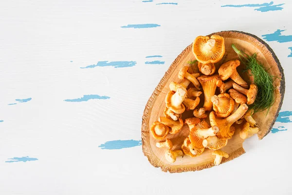 Ham vahşi Cantharellus cibarius mantar yemek pişirmek için redy. Beyaz backgrou