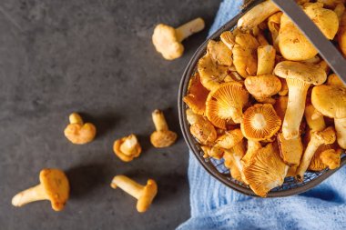 Ham vahşi Cantharellus cibarius mantar yemek pişirmek için redy. koyu arka plan