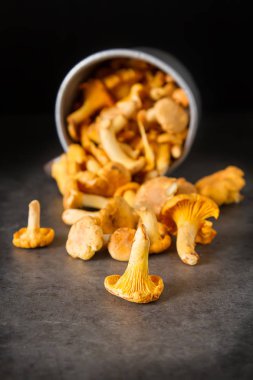 Ham vahşi Cantharellus cibarius mantar yemek pişirmek için redy. koyu arka plan