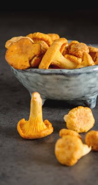 Ham vahşi Cantharellus cibarius mantar yemek pişirmek için redy. koyu arka plan