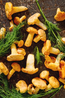 Ham vahşi Cantharellus cibarius mantar yemek pişirmek için redy. koyu arka plan