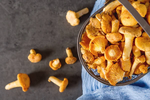 Ham vahşi Cantharellus cibarius mantar yemek pişirmek için redy. koyu arka plan