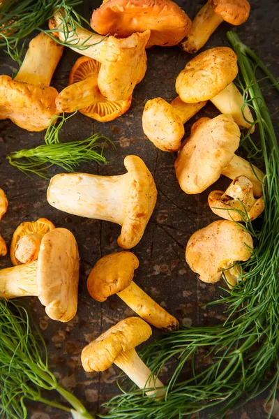 Ham vahşi Cantharellus cibarius mantar yemek pişirmek için redy. koyu arka plan