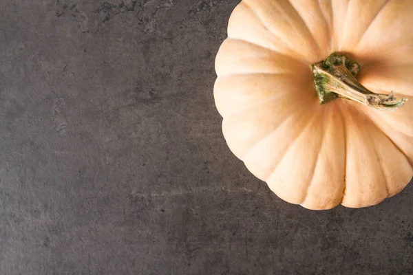 Citrouille mûre sur un fond sombre. Un symbole d'Halloween . — Photo