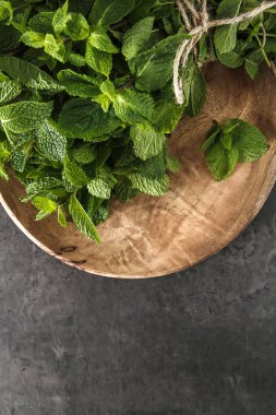 Taze nane yaprakları. İtalyan otlar. Koyu arka plan.