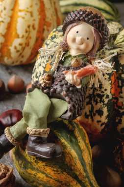 Cadılar Bayramı için dekorasyon. Küçük çoğu kabak kestane ile ve 