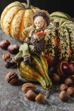 Cadılar Bayramı için dekorasyon. Küçük çoğu kabak kestane ile ve 