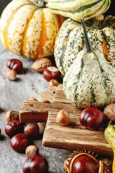 Décorer pour Halloween. Petite citrouille avec des châtaignes et — Photo