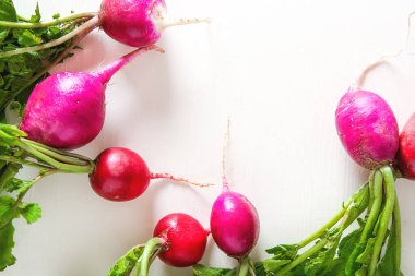 Taze renkli turp aldı. Sebze yetiştirme. Vejetaryen