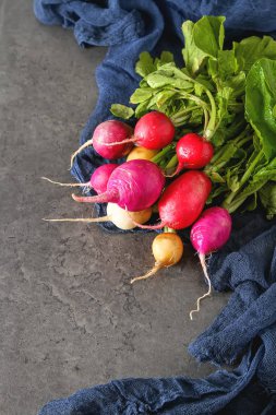 Taze renkli turp aldı. Sebze yetiştirme. Vejetaryen