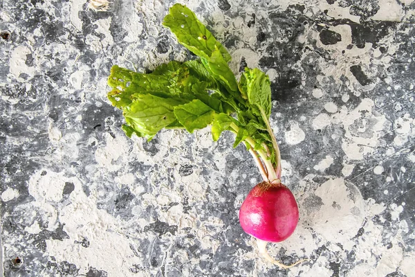 Rábanos recién recogidos. Cultivando verduras. Vegetariano —  Fotos de Stock