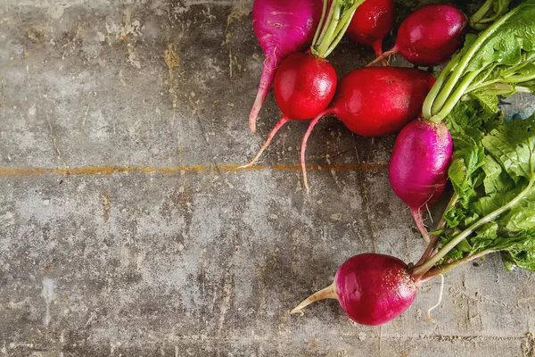 Rábanos recién recogidos. Cultivando verduras. Vegetariano —  Fotos de Stock