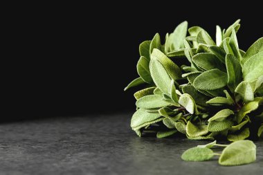 Taze adaçayı yaprakları. İtalyan otlar. Gıda için petrol.