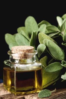 Taze adaçayı yaprakları. İtalyan otlar. Gıda için petrol.