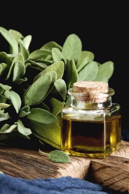 Taze adaçayı yaprakları. İtalyan otlar. Gıda için petrol.