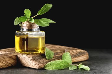 Taze adaçayı yaprakları. İtalyan otlar. Gıda için petrol.