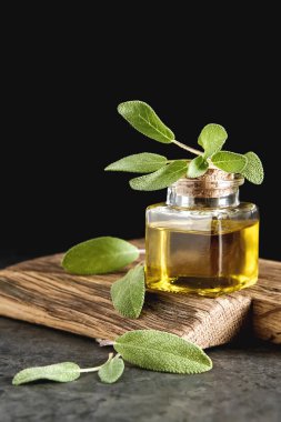 Taze adaçayı yaprakları. İtalyan otlar. Gıda için petrol.