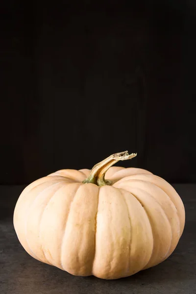 Abóbora madura em um fundo escuro. Um símbolo do Halloween . — Fotografia de Stock