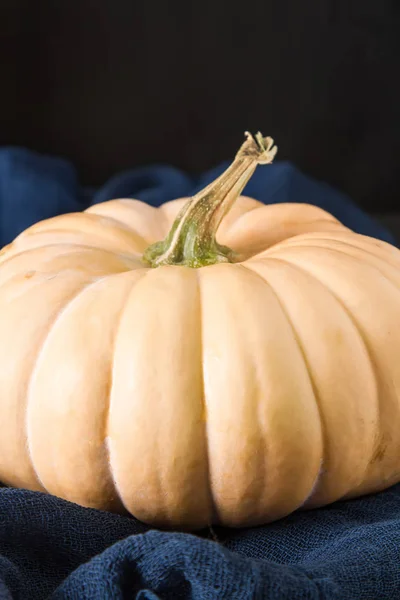 Citrouille mûre sur un fond sombre. Un symbole d'Halloween . — Photo