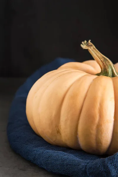 Citrouille mûre sur un fond sombre. Un symbole d'Halloween . — Photo