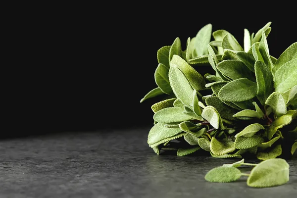Taze adaçayı yaprakları. İtalyan otlar. Gıda için petrol.