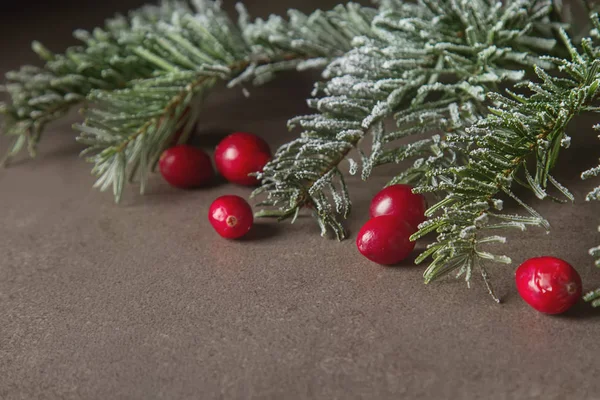 Weihnachtsbaum Zweig Preiselbeeren. dunkelgrauer Steinhintergrund. — Stockfoto