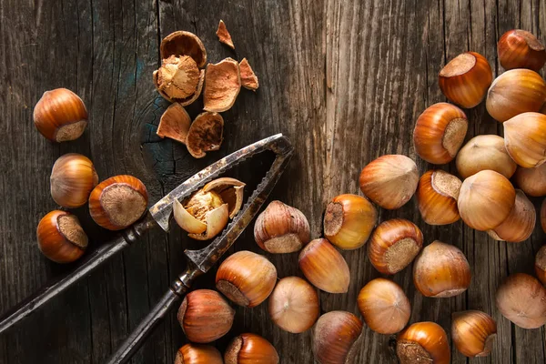 Herbstmahlzeit. Haselnüsse sind Nüsse. dunkler Hintergrund. — Stockfoto