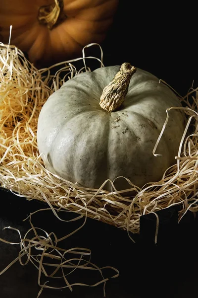 Autumn meal. Ripe pumpkins. Holiday Hallow. Dark background. — Stock Photo, Image