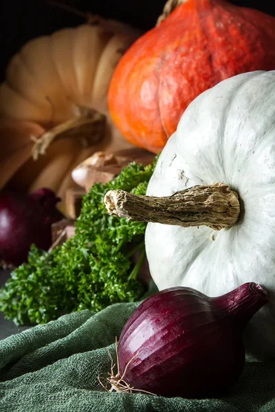 Repas d'automne. Des citrouilles mûres. Jours fériés. Fond sombre . — Photo