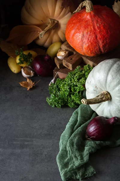 Repas d'automne. Des citrouilles mûres. Jours fériés. Fond sombre . — Photo