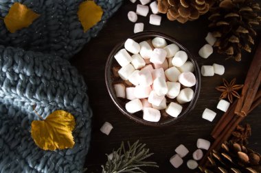 Bir fincan sıcak çikolata kurabiye. Kış tadı. Da