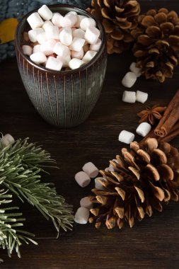 Bir fincan sıcak çikolata kurabiye. Kış tadı. Da