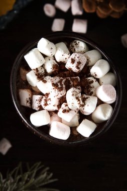 Bir fincan sıcak çikolata kurabiye. Kış tadı. Da