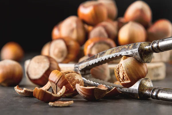 Herbstmahlzeit. Haselnüsse sind Nüsse. dunkler Hintergrund. — Stockfoto