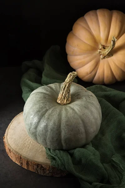 Autumn meal. Ripe pumpkins. Holiday Hallow. Dark background. — Stock Photo, Image