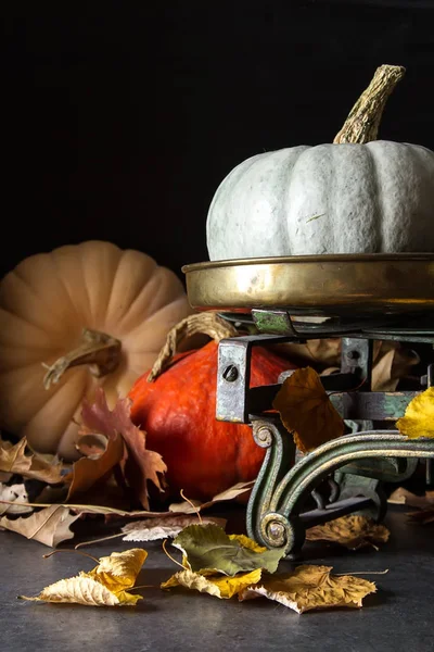 Herbstmahlzeit. reife Kürbisse. Urlaub hin oder her. dunkler Hintergrund. — Stockfoto