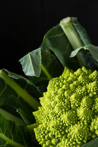 Cauliflower green and purple. Dark background. Vegetarian food.