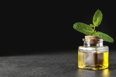 Taze nane yaprakları. İtalyan otlar. Koyu arka plan. Gıda için petrol.