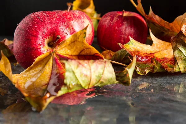 Manzanas rojas frescas en hojas amarillas. Fondo oscuro. Comida de otoño . — Foto de Stock