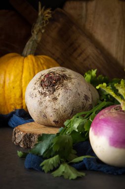 Olgun şalgam, pancar, havuç, kabak ve maydanoz. Karanlık backgrou
