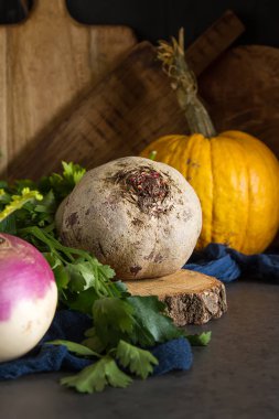 Olgun şalgam, pancar, havuç, kabak ve maydanoz. Karanlık backgrou