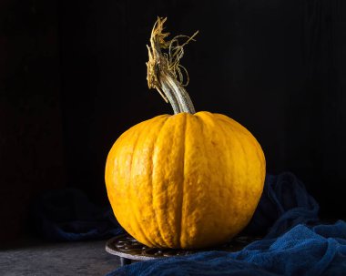 Taze kabak Cadılar Bayramı için. Koyu arka plan. Sonbahar yemek.