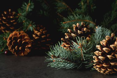 Noel ağacı çan. Yeni yıl koyu arka plan.