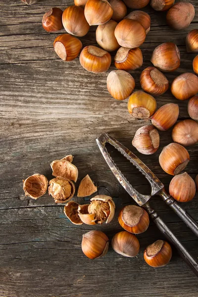Autumn meal. Hazelnuts are nuts. Dark background. — Stock Photo, Image