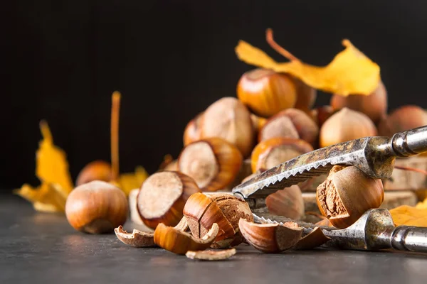 Herbstmahlzeit. Haselnüsse sind Nüsse. dunkler Hintergrund. — Stockfoto