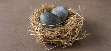 Alan, renkli bir arka plan gri ile kompozisyon Paskalya yumurta