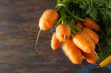 Genç havuç. Taze vejetaryen ürünleri. Chi lezzetli yemek
