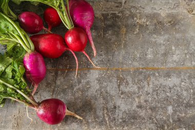 Taze renkli turp aldı. Sebze yetiştirme. Vejetaryen