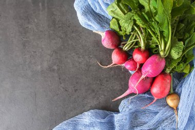 Taze renkli turp aldı. Sebze yetiştirme. Vejetaryen